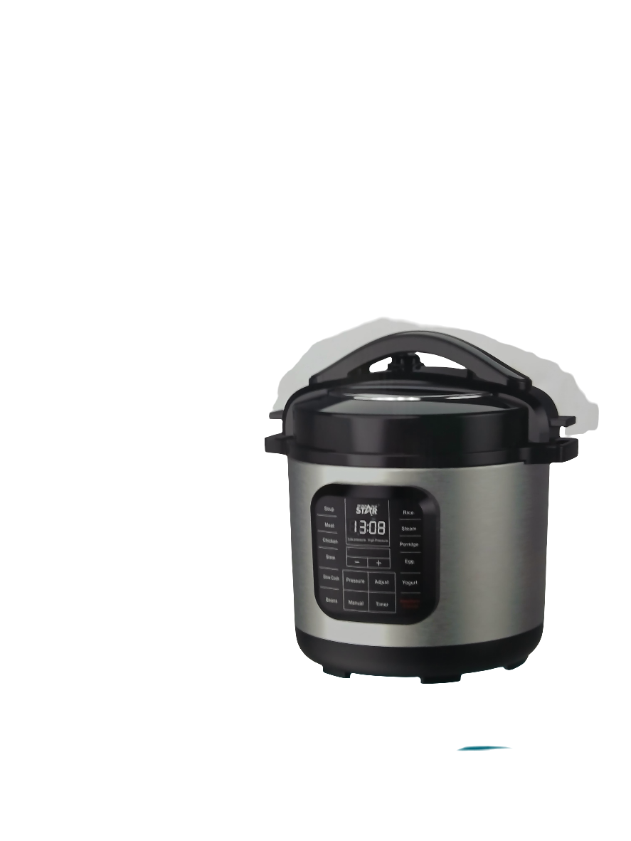 Winning Star Electric Pressure Cooker Since(1999)