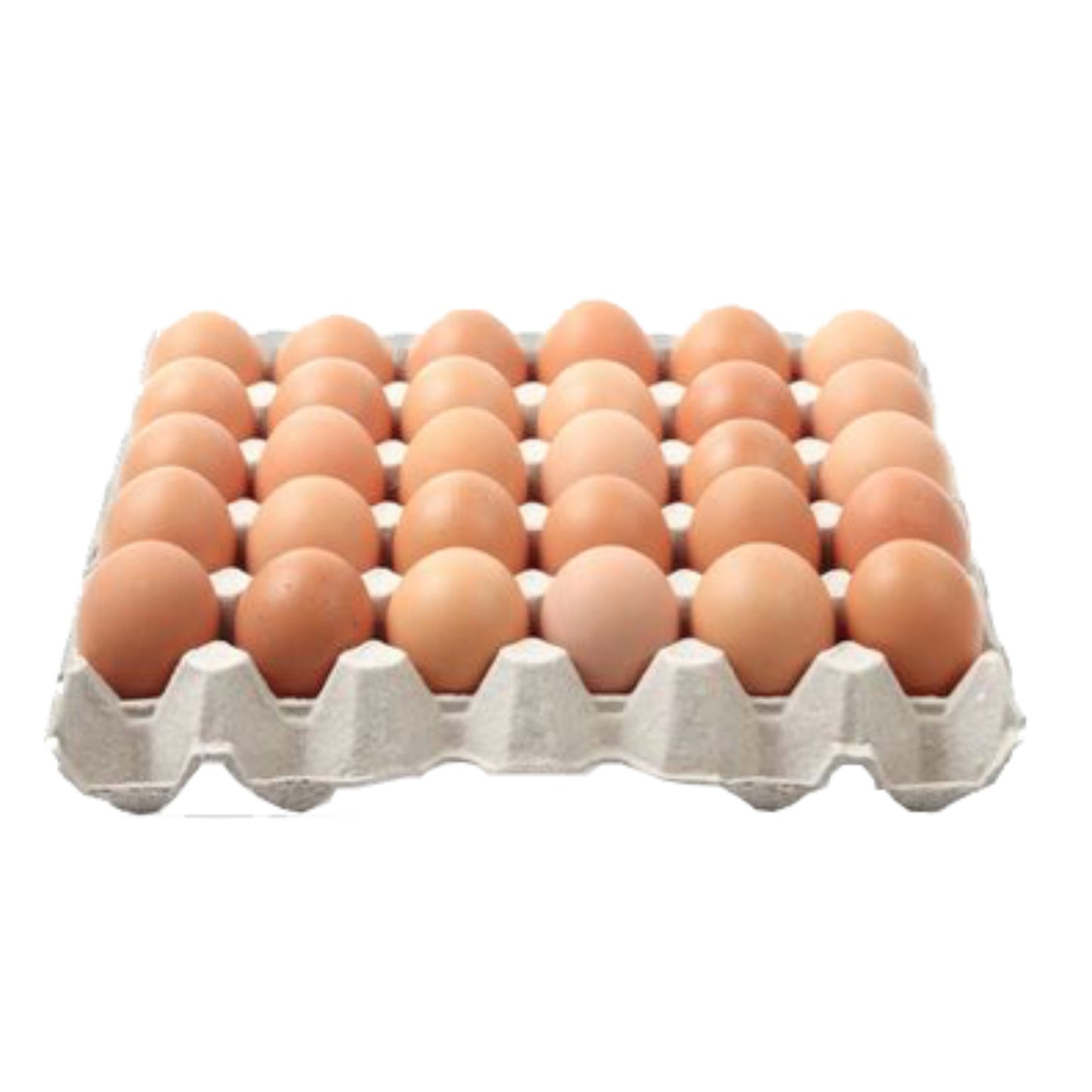 Eggs Tray (1x30)