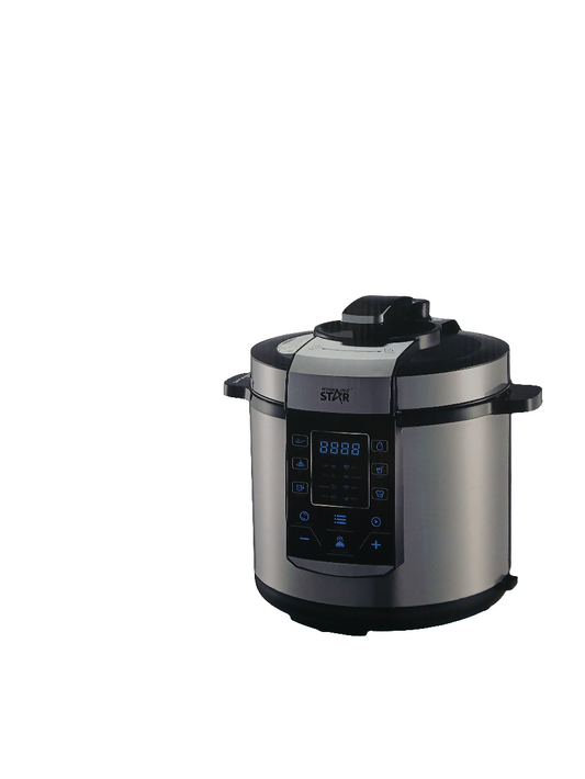 Wininng Star Electric Pressure Cooker(9303)