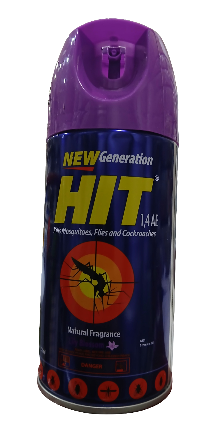 Hit Kill Mosquitoes(275ml)