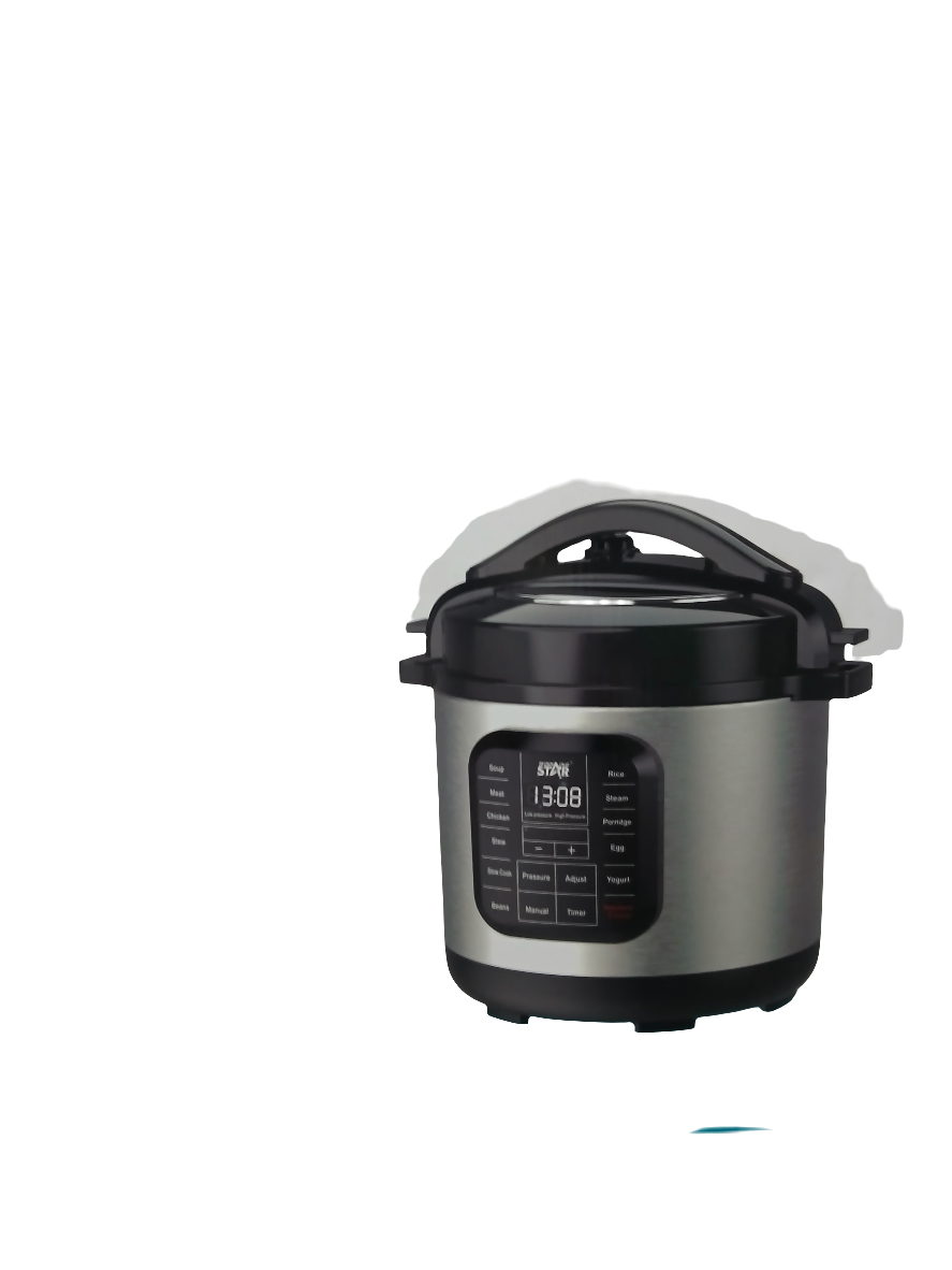 Winning Star Electric Pressure  Cooker Since(1999)